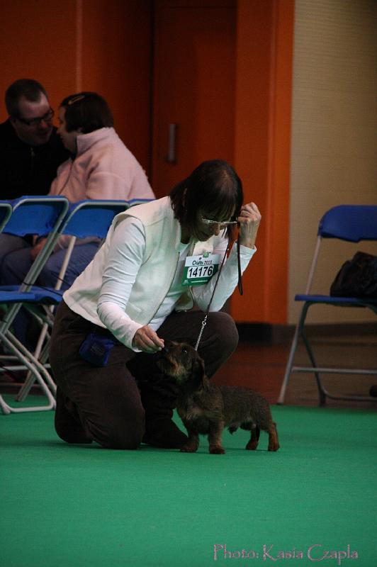 Crufts2011_2 685.jpg